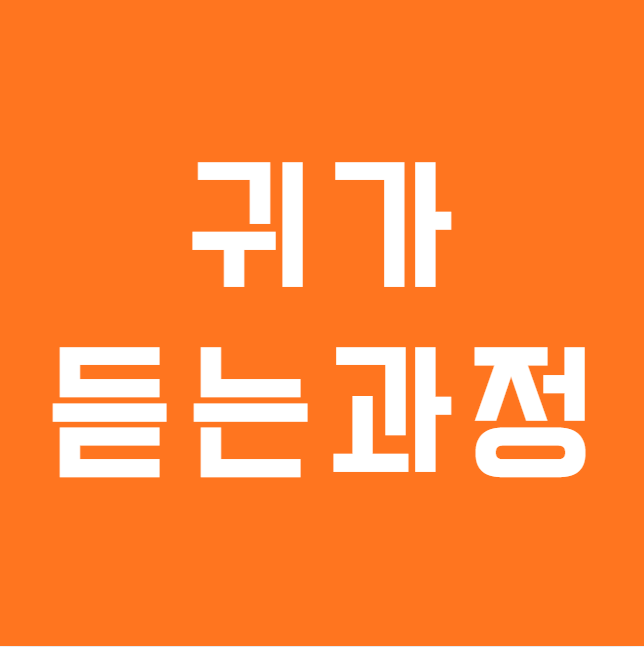 보청기는 어떻게 소리를 들리게 할까요? 귀가 소리를 듣는 과정