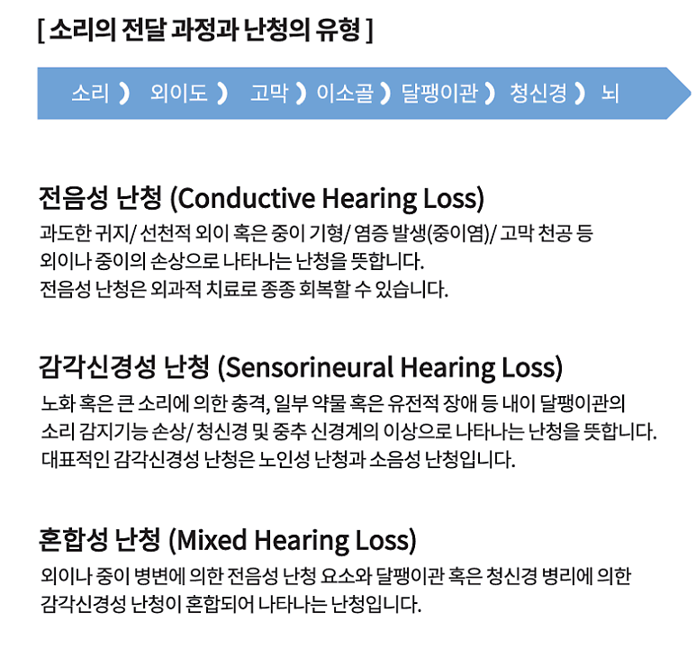 보청기는 어떻게 소리를 들리게 할까요? 귀가 소리를 듣는 과정