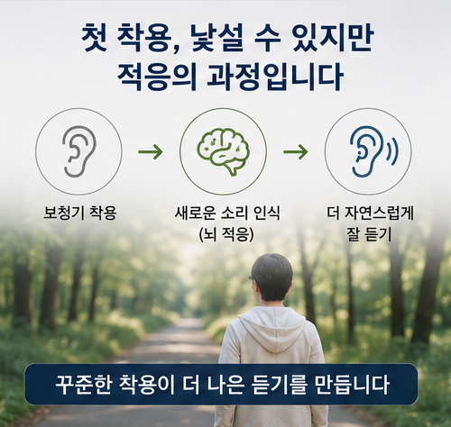 보청기만 착용하면 소음 속 대화가 바로 좋아질까요? +청각재활!