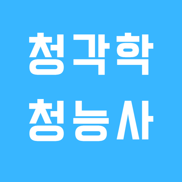청각학이란 무엇일까요? 국내 청각학과 대학과 청능사가 되는 과정