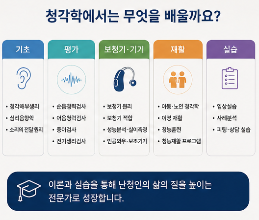 청각학이란 무엇일까요? 국내 청각학과 대학과 청능사가 되는 과정
