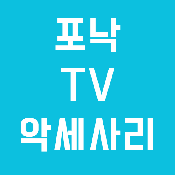 포낙보청기 TV가 잘 들리는 방법? 포낙 TV커넥터와 무선 액세서리 활용법