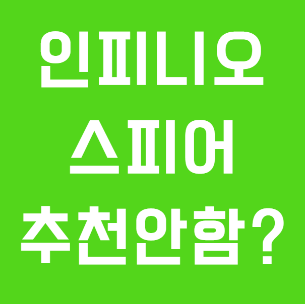 포낙보청기 인피니오 울트라 스피어를 추천하지 않는 이유?