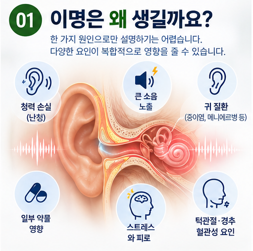이명은 왜 생기는 걸까? 보청기가 정말 효과 있나?